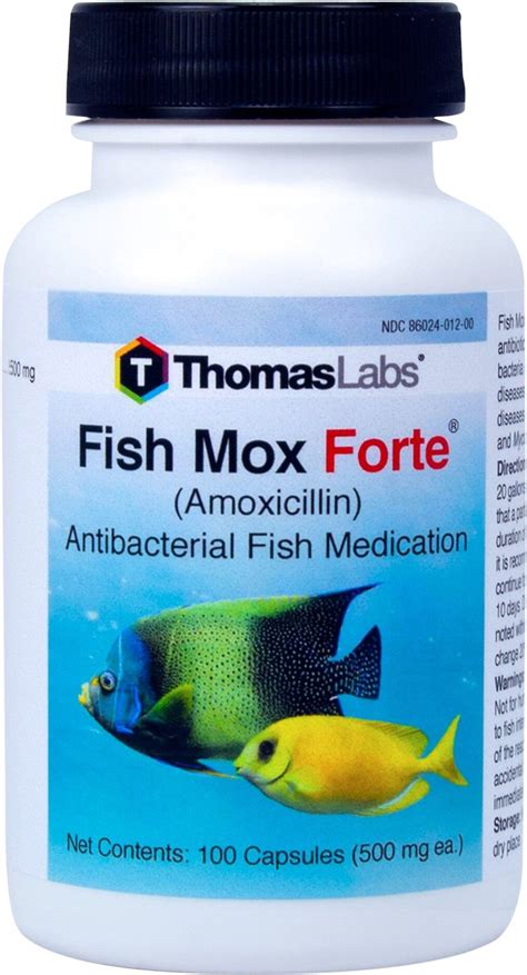 thomas labs fish mox|Fish Mox Forte Capsules l Amoxicillin For Fish